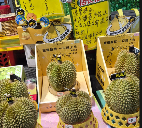 buscando nuevos productos en bali